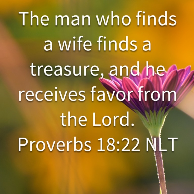 image_544040497197693